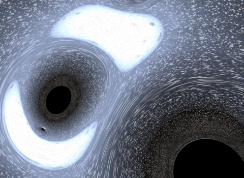 Black Holes & Stellar Remnants