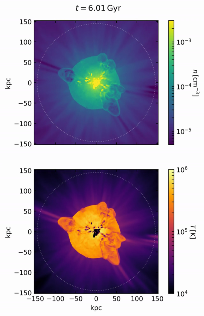 Density and Temperature Snapshots