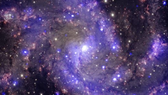X-ray & Optical Images of NGC 6946