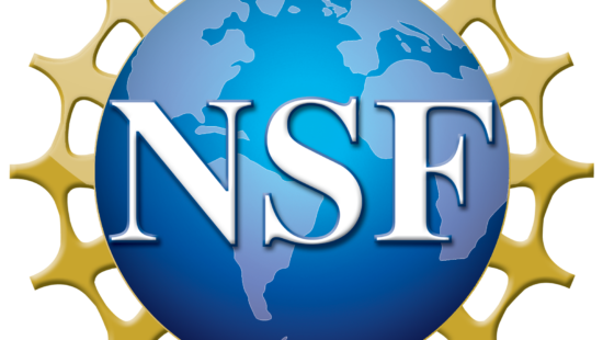 NSF Logo