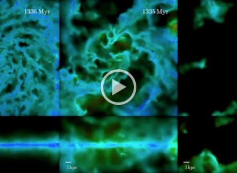 Stellar Feedback vs. Galaxy Formation