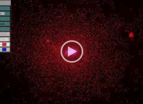 Firefly Demonstration