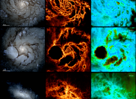 Galaxy Evolution