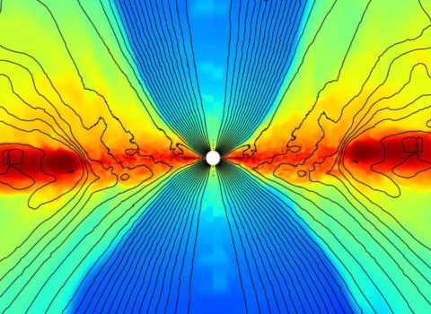 Black Hole Accretion Disc