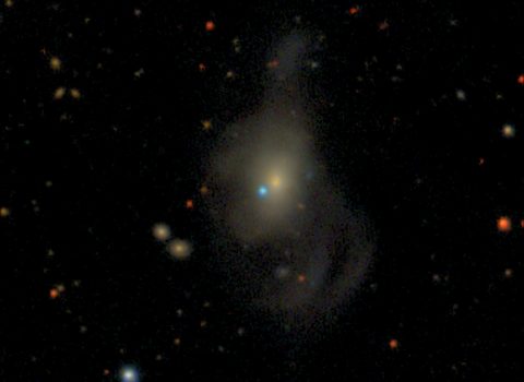 SN2019yvq in the Host Galaxy NGC 4441