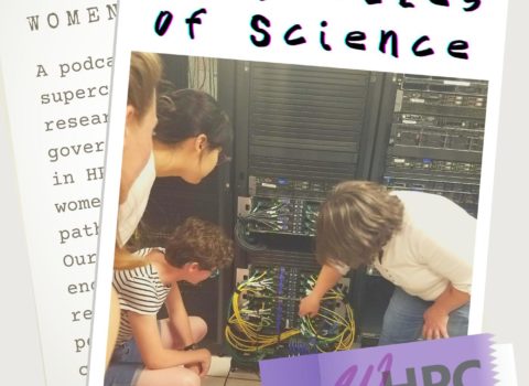 Models and Simulations Run on the Cluster and in the Family
